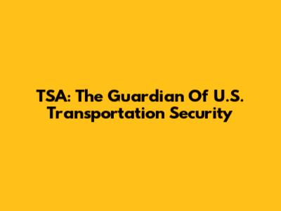 TSA: The Guardian Of U.S. Transportation Security