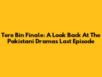 Tere Bin Finale: A Look Back At The Pakistani Drama's Last Episode