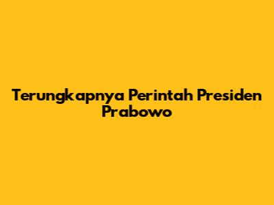Terungkapnya Perintah Presiden Prabowo