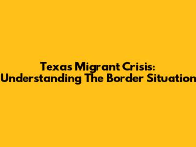 Texas Migrant Crisis: Understanding The Border Situation