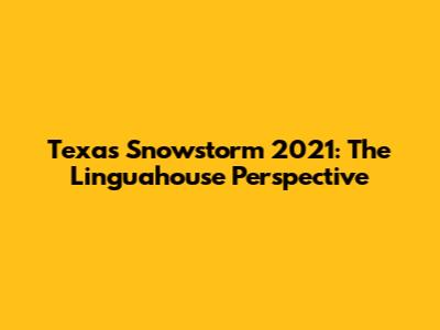 Texas Snowstorm 2021: The Linguahouse Perspective