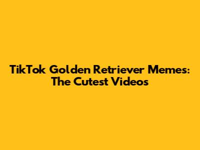 TikTok Golden Retriever Memes: The Cutest Videos