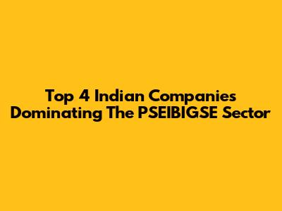 Top 4 Indian Companies Dominating The PSEIBIGSE Sector