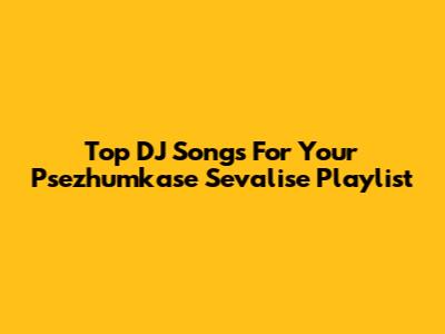 Top DJ Songs For Your Psezhumkase Sevalise Playlist