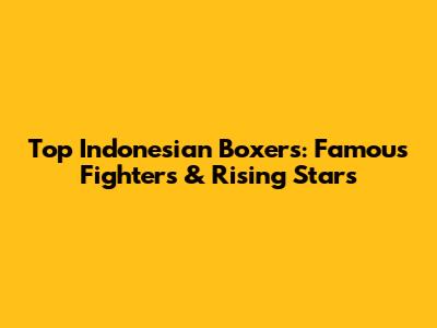 Top Indonesian Boxers: Famous Fighters & Rising Stars