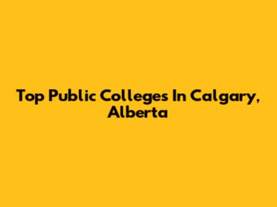 Top Public Colleges In Calgary, Alberta