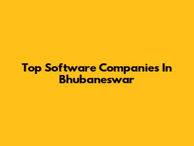 Top Software Companies In Bhubaneswar