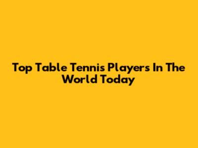 Top Table Tennis Players In The World Today