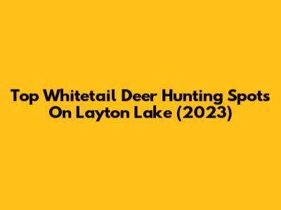 Top Whitetail Deer Hunting Spots On Layton Lake (2023)