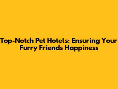 Top-Notch Pet Hotels: Ensuring Your Furry Friend's Happiness