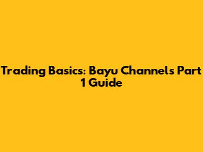 Trading Basics: Bayu Channel's Part 1 Guide