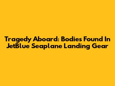 Tragedy Aboard: Bodies Found In JetBlue Seaplane Landing Gear