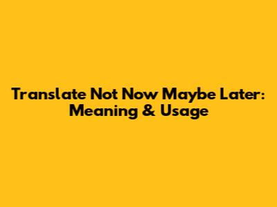 Translate 'Not Now Maybe Later': Meaning & Usage