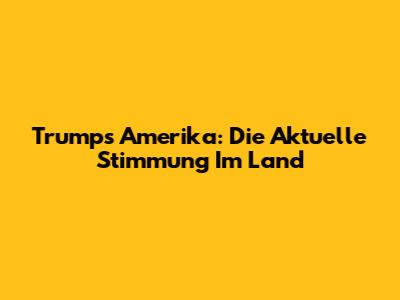 Trump's Amerika: Die Aktuelle Stimmung Im Land