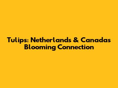 Tulips: Netherlands & Canada's Blooming Connection