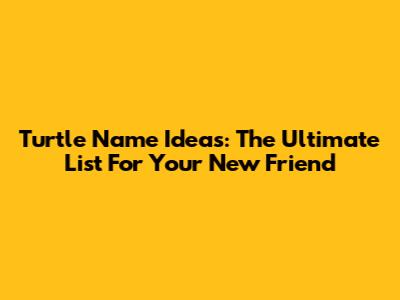 Turtle Name Ideas: The Ultimate List For Your New Friend