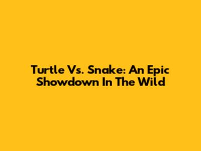 Turtle Vs. Snake: An Epic Showdown In The Wild