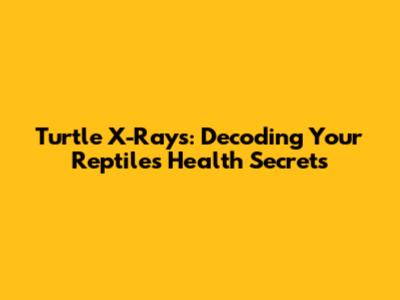 Turtle X-Rays: Decoding Your Reptile's Health Secrets