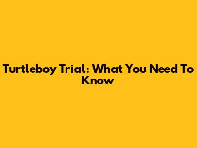 Turtleboy Trial: What You Need To Know