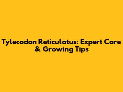 Tylecodon Reticulatus: Expert Care & Growing Tips