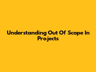 Understanding "Out Of Scope" In Projects