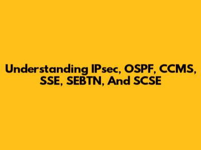 Understanding IPsec, OSPF, CCMS, SSE, SEBTN, And SCSE