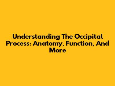 Understanding The Occipital Process: Anatomy, Function, And More
