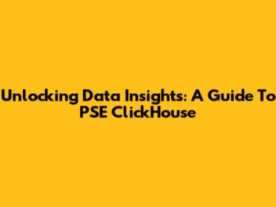 Unlocking Data Insights: A Guide To PSE ClickHouse