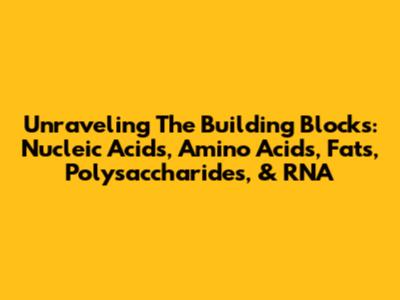 Unraveling The Building Blocks: Nucleic Acids, Amino Acids, Fats, Polysaccharides, & RNA