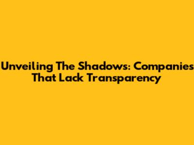 Unveiling The Shadows: Companies That Lack Transparency