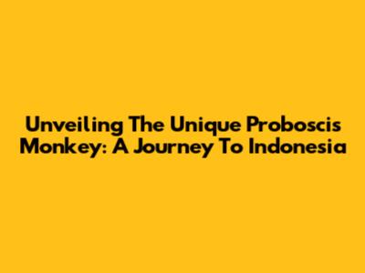 Unveiling The Unique Proboscis Monkey: A Journey To Indonesia