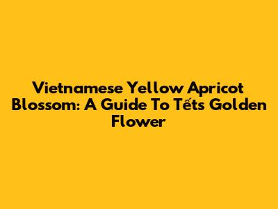 Vietnamese Yellow Apricot Blossom: A Guide To Tết's Golden Flower