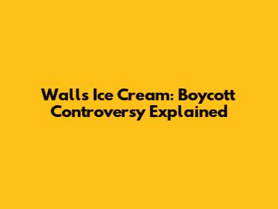 Walls Ice Cream: Boycott Controversy Explained
