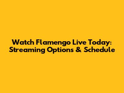 Watch Flamengo Live Today: Streaming Options & Schedule