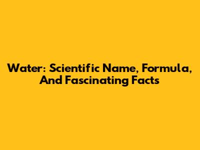 Water: Scientific Name, Formula, And Fascinating Facts