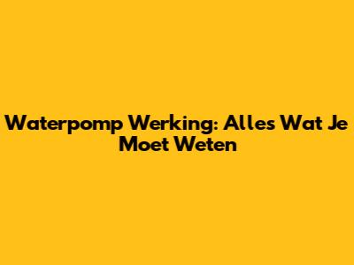 Waterpomp Werking: Alles Wat Je Moet Weten