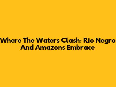 Where The Waters Clash: Rio Negro And Amazon's Embrace