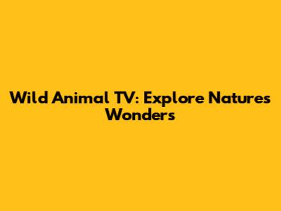 Wild Animal TV: Explore Nature's Wonders