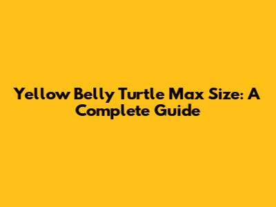 Yellow Belly Turtle Max Size: A Complete Guide