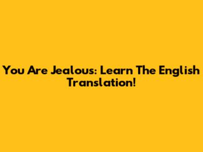 You Are Jealous: Learn The English Translation!