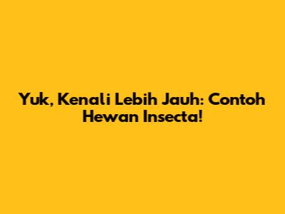 Yuk, Kenali Lebih Jauh: Contoh Hewan Insecta!