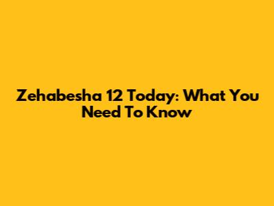 Zehabesha 12 Today: What You Need To Know