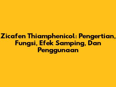 Zicafen Thiamphenicol: Pengertian, Fungsi, Efek Samping, Dan Penggunaan