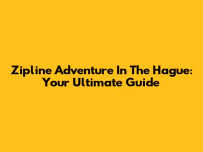 Zipline Adventure In The Hague: Your Ultimate Guide
