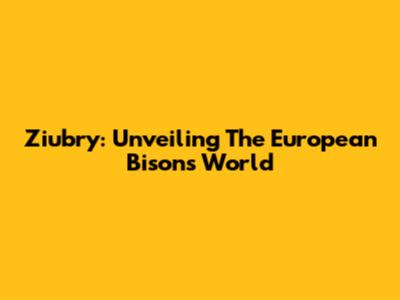 Ziubry: Unveiling The European Bison's World
