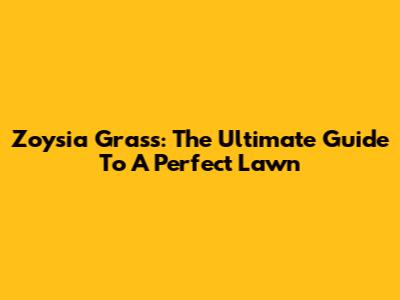 Zoysia Grass: The Ultimate Guide To A Perfect Lawn
